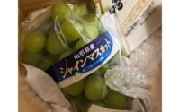 【プライベート】シャインマスカットをいただきました★大通/札幌/アイブロウ/マツパ