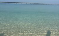 宮古島にいきました！【ハヤシ】
