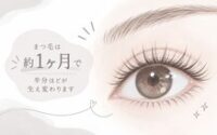 まつげパーマの来店周期【Blanc近鉄四日市店 まつげパーマ 眉 まつエク メンズ】